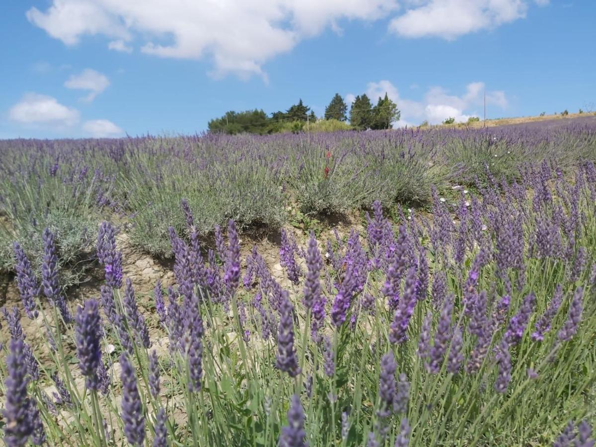 Agriturismo Mandriato سانتا لوتشي المظهر الخارجي الصورة