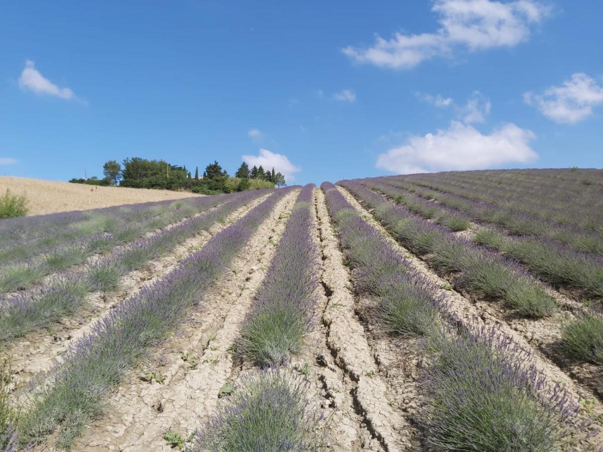 Agriturismo Mandriato سانتا لوتشي المظهر الخارجي الصورة