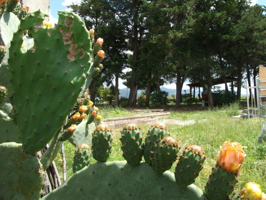 Agriturismo Mandriato سانتا لوتشي المظهر الخارجي الصورة